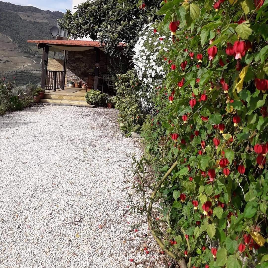 Tomas Barqueiro Hotel Folgosa  Luaran gambar
